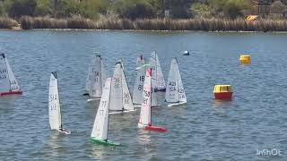Race 11A Australian National 2024 DF65 Championship ...32 competitors from 5 States