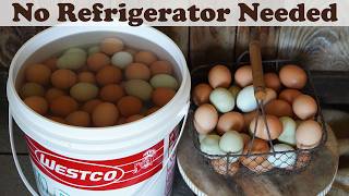 How to Water Glass Eggs with Sodium Silicate