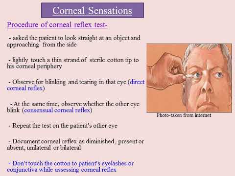 Corneal reflex- pathway, procedure, causes of diminished corneal ...