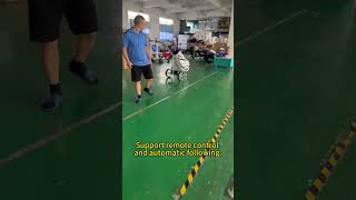 Eswing Remote Control Golf push cart.