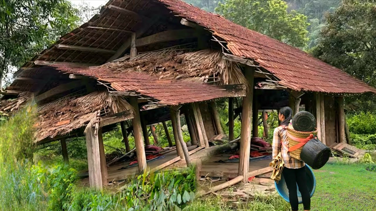 The story touched the hearts of millions when the girl found a large sum of money.