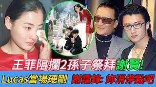 Patrick Tse's will stipulates that his two grandsons must visit his grave monthly in order to inh...