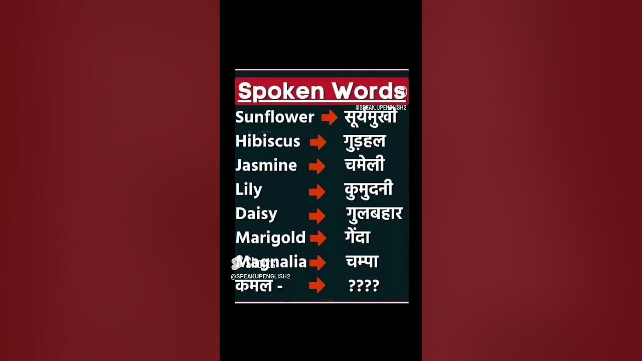 daily-use-english-vocabulary-english-spoken-englishspeaking