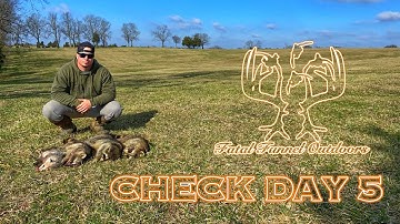 Trapline Vlog | Check Day #5 | Duke Traps & Nest Predators