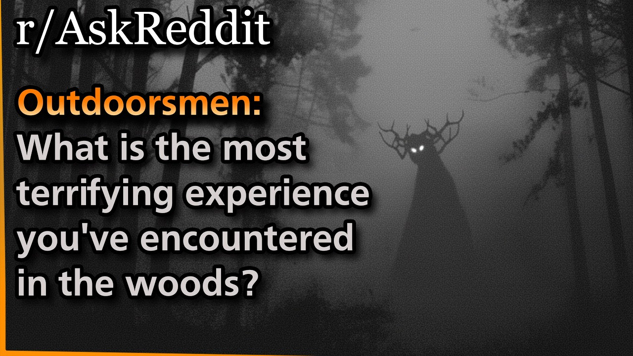 Любители природы: Какой самый страшный опыт вы пережили в лесу? | Hollow Knight