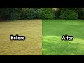 How to make a lawn green very fast?