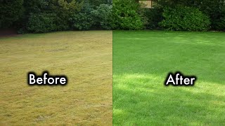 How to make a lawn green very fast? by Renovation school 625 views 2 years ago 5 minutes, 9 seconds