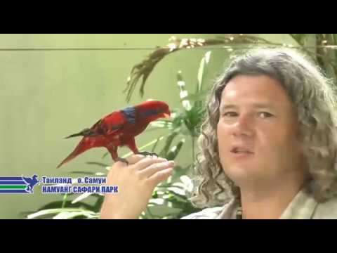 Ваш Таиланд. 1 часть. Остров Самуи.