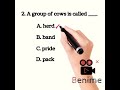 📖 Build Your Basics Strong – Master Common Nouns Today!#shorts#englishvocabulary#commonnoun