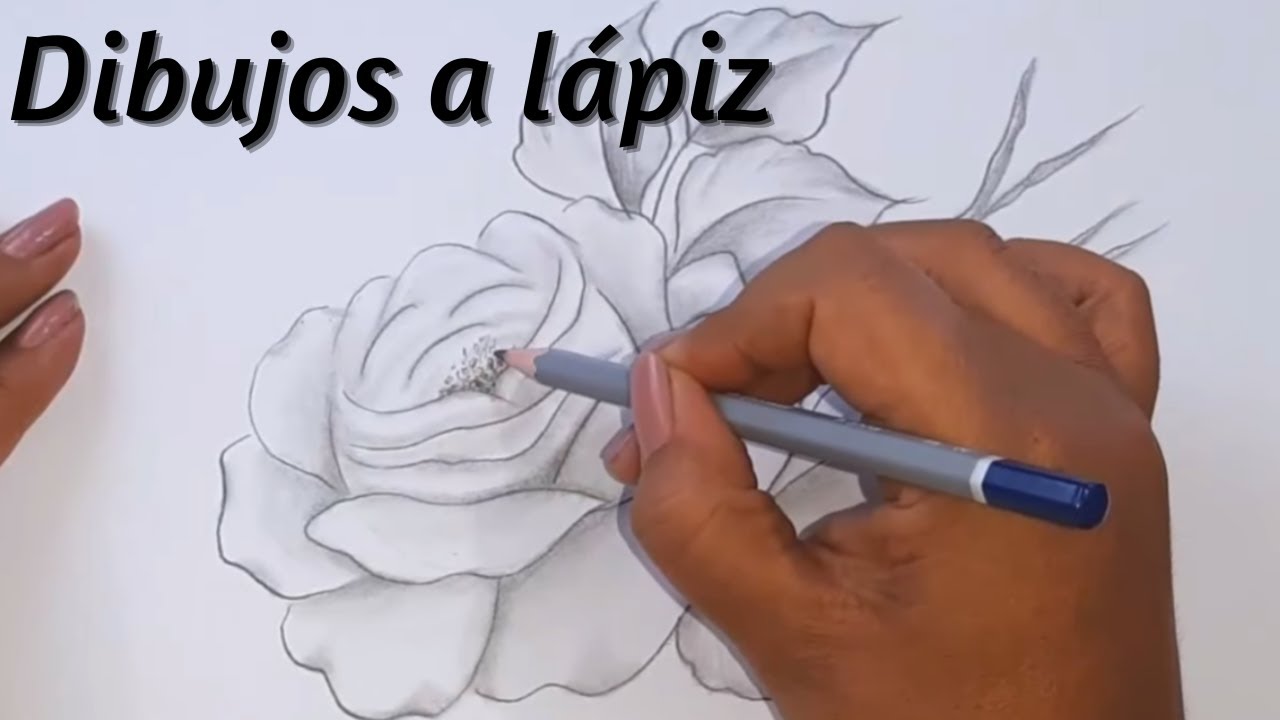 Dibujos A Lápiz Como Dibujar Una Flor / How To Draw A Flower - thptnganamst.edu.vn