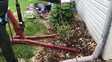 How to pull an old shrub out with an Engine Hoist.
