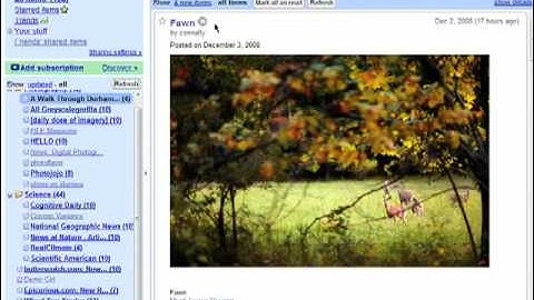 How to read your RSS feeds