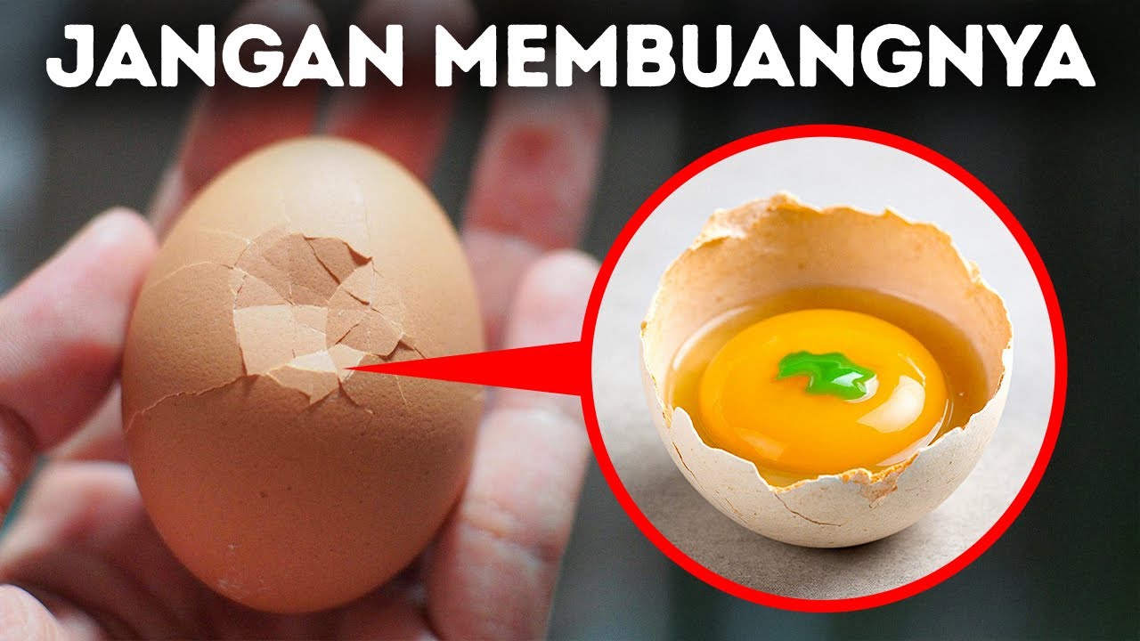 Ya, Anda Bisa Makan Telur Hijau (Dan Lebih Banyak Kebenaran Aneh dalam Kehidupan Sehari-hari)