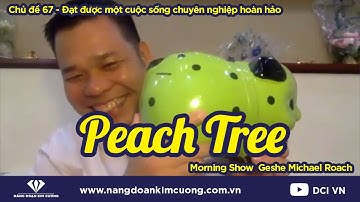 Chủ đề 67: Đạt được một cuộc sống chuyên nghiệp hoàn hảo | Geshe Michael Roach - Nguyễn Công Bình