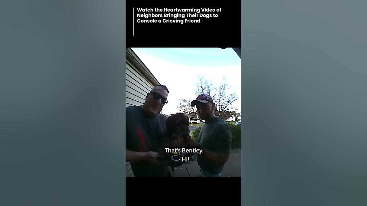 watch-the-heartwarming-video-of-neighbors-bringing-their-dogs-to