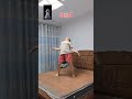 What do you think of this music and this feeling? Suppressing Madness at Home Series Mad Woman D
