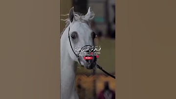 #قرآن كريم | سورة الأحزاب _ الأية 23