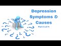 Depression Signs Symptoms and Causes Part 4 of 4