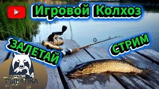 Русская Рыбалка 4  Фарм серебра // Поплавочная ловля!!!!