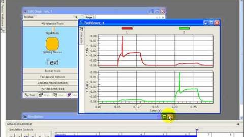 AnimatLab: Electrical Synapses