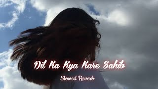 Dil Ka Kya Kare Sahib || Slowed  Reverb || Remix 90s Song @90sGaane @tseries