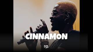 'CINNAMON' Asake x Omah Lay Type Beat | Afrobeat Instrumental 2026