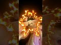 engraçados