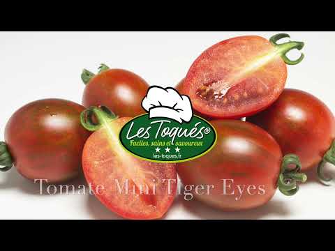 Vidéo: Tomate Merry Dwarf: description de la variété, critiques, caractéristiques
