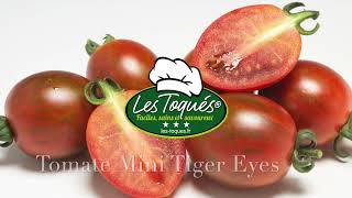 Tomate F1 Mini Tiger Eyes®