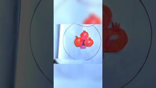 Pomegranate Drawing || circle Drawingpomegranate shorts youtubeshorts sketchdrawing shortvideo
