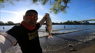 Shad fishing using Get Crushed Baits at Miller park on the Sacramento river