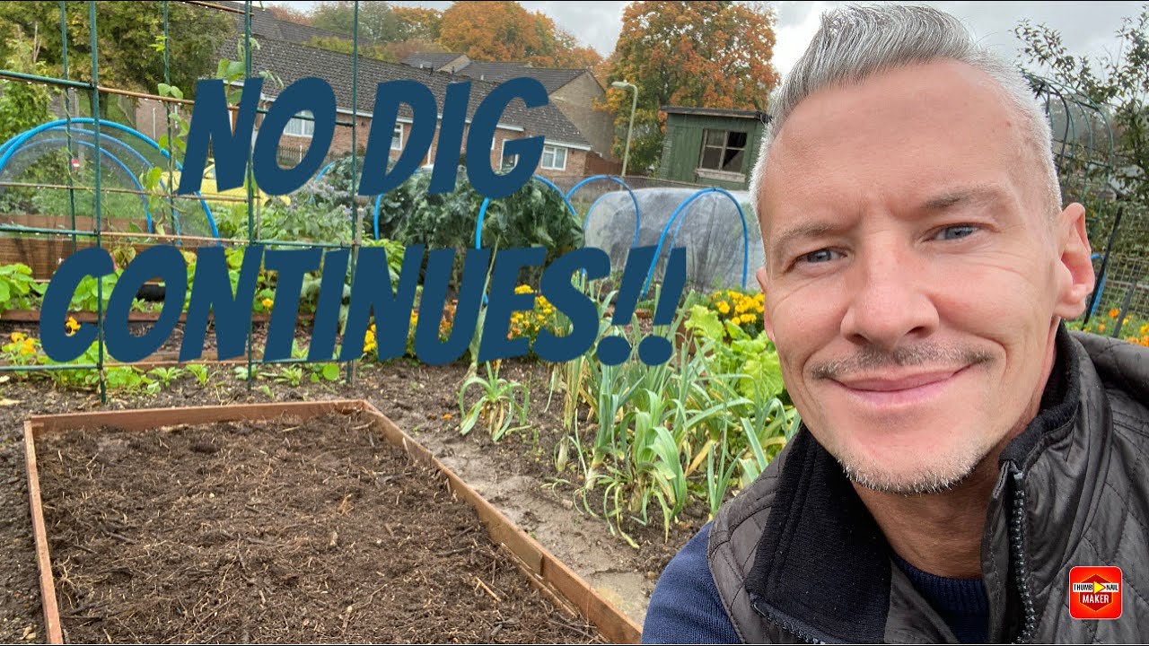 How to make a No Dig raised bed - Peat free allotment - Root veg ...