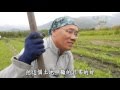 【農夫與他的田】20160111 - 流浪農夫