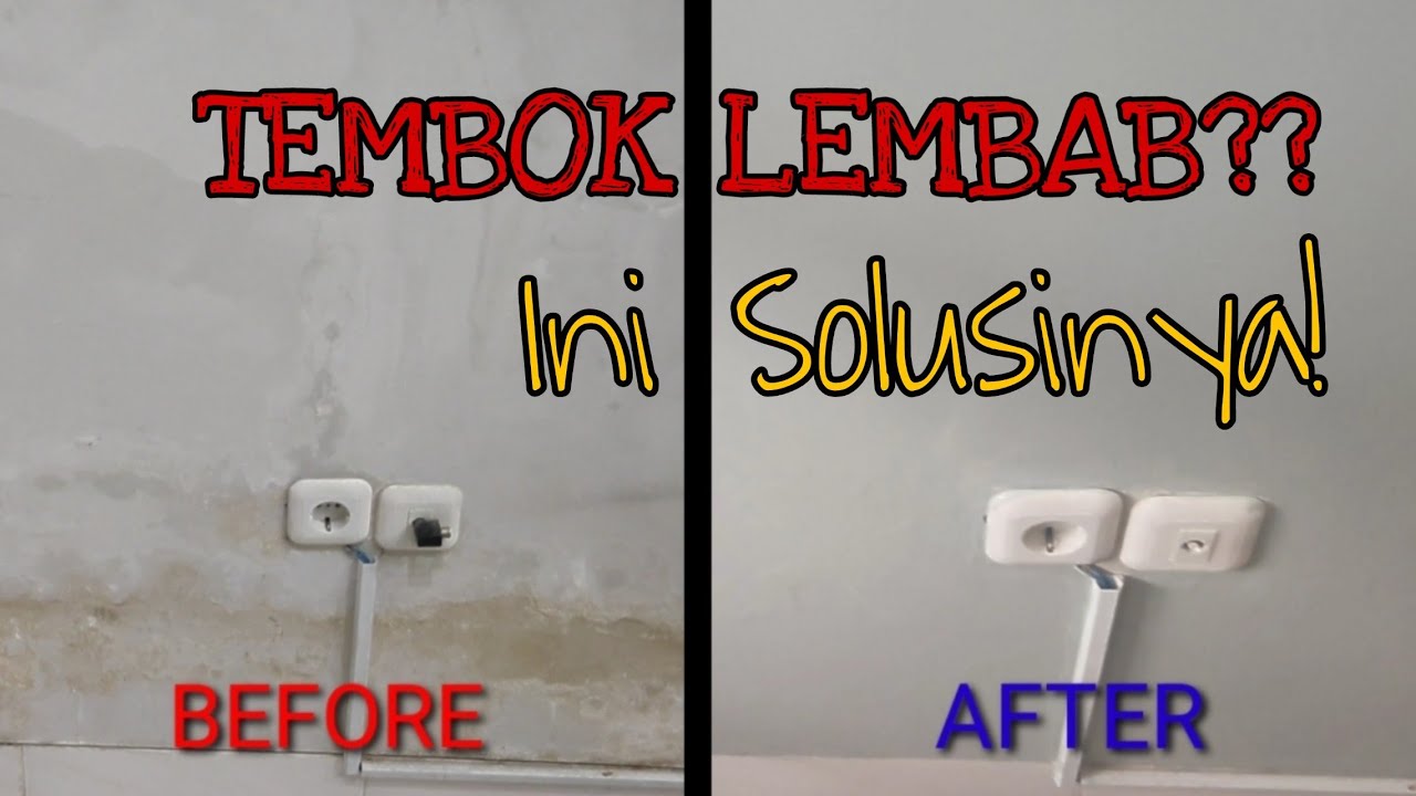 CARA MEMPERBAIKI TEMBOK LEMBAB