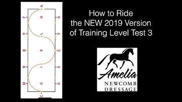 THE OLD Training Level Test 3 -  2019 Version from the United States Dressage Federation