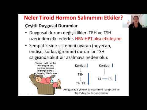 Ramazan Webinarları - Tiroid Bezine Biyokimyasal Bakış - Prof. Dr. Yasemin Akçay