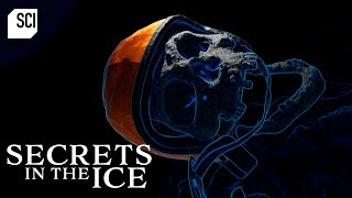 Skeletal Remains Found on Mount Cook in New Zealand | Secrets in the Ice | Science Channel