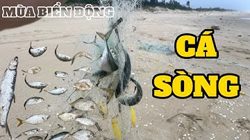 MÙA BIỂN ĐỘNG - ĐÂU PHẢI AI MANG LƯỚI ĐI THẢ CŨNG BẮT ĐƯỢC CÁ || BỤI VLOG