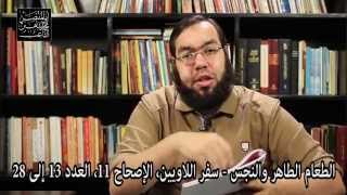 وكل دبيب الطير الماشي على أربع - أخطاء علمية في الكتاب المقدس