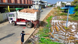 Early Build Starting Landfill Using Skill Dozer Komatsu & Dump Truck Delete Deep Land, Mix Vdo