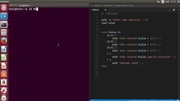 13. Shell Scripting Tutorial for Beginners 13 - The case statement Example
