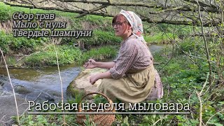 видео: 4.Много ароматной работы: начало сезона сбора трав | мыло с нуля | твердые шампуни+ домашние радости картинка: 4.Много ароматной работы: начало сезона сбора трав | мыло с нуля | твердые шампуни+ домашние радости