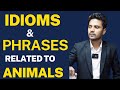 Speak Fluent English: Essential Animal Idioms & Phrases | English speaking classes