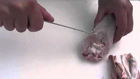 Passionate About Fish - How to skin and fillet a red gurnard