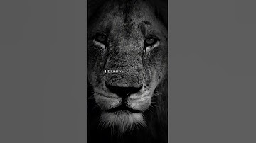 Rise Above: Overcoming Adversity with Faith and Resilience