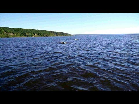 Заплыв 32 км по Волге «Ундоры-Ульяновск, 2017»