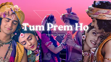 Tum Perm Ho Tum Preet Ho Lo-fi Mix | Hindi Bhajan || Krishna Bhajan || Radha -  Krishna