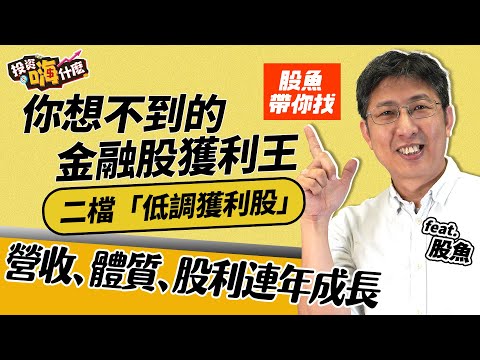 【投資嗨什麼 #69】一檔你想不到的低調「金融股獲利王」營收、體質、股利連年成長！《投資嗨什麼》 ft.股魚