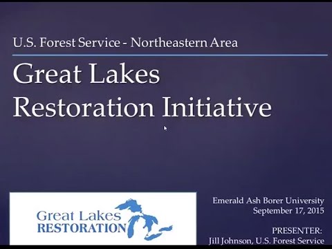 Great Lakes Restoration Initiative - YouTube