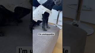 Music Video For Unstoppable